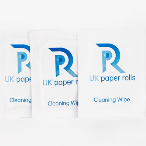 Cleaning Wipes (10)